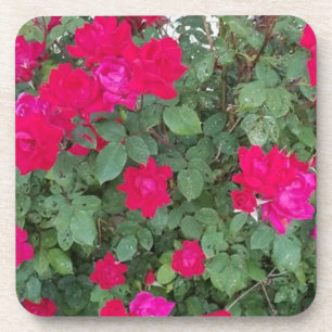 Dessous-de-verre Belles Fleurs