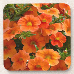 Dessous-de-verre Belles fleurs de pétunia orange