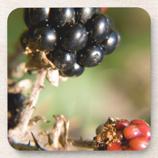 Dessous-de-verre Berries d'automne (Devant)