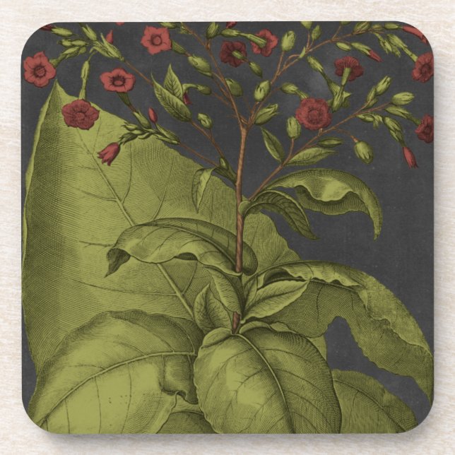 Dessous-de-verre Besler Dramatique I (Devant)