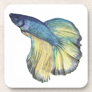 Dessous-de-verre Betta fish