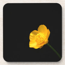Beurre Fleur de la côte de Beverly Coaster