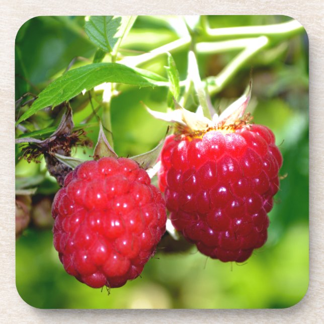Dessous-de-verre Beurre mûre photo Framboises framboises (Devant)