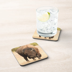 Dessous-de-verre Bison