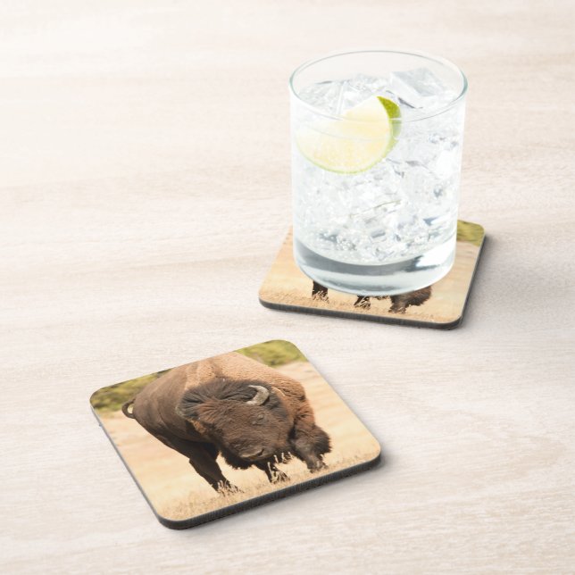 Dessous-de-verre Bison (Côté Droit)