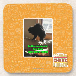 Dessous-de-verre Bison de sofa