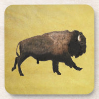 Bison galopant