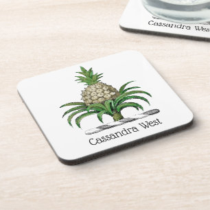 Dessous-de-verre Blason Héraldique Préparatoire de l'Ananas