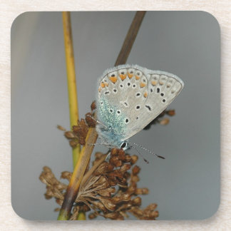 Dessous-de-verre Bleu blanc orange avec points noirs Papillon