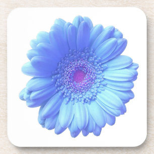 Dessous-de-verre Bleu marguerite