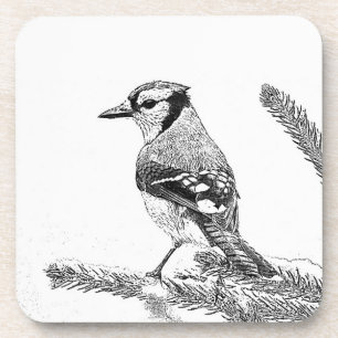 Dessous-de-verre Blue Jay en hiver croquis