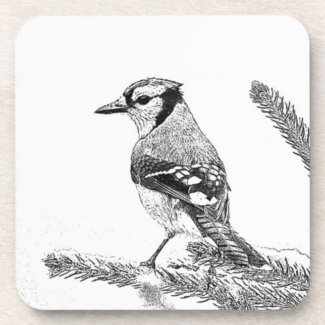 Dessous-de-verre Blue Jay en hiver croquis (Devant)