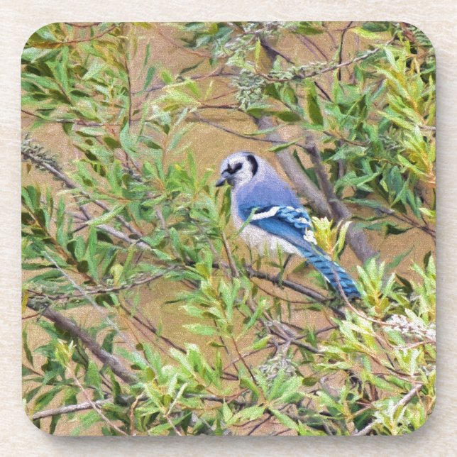 Dessous-de-verre Blue Jay sur Southern Wax Myrtle (Devant)