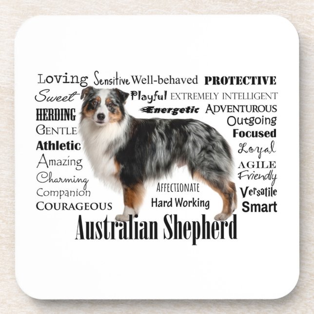 Dessous-de-verre Blue Merle Australian Shepherd (Devant)