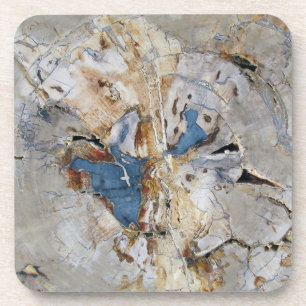 Dessous-de-verre Bois fossile