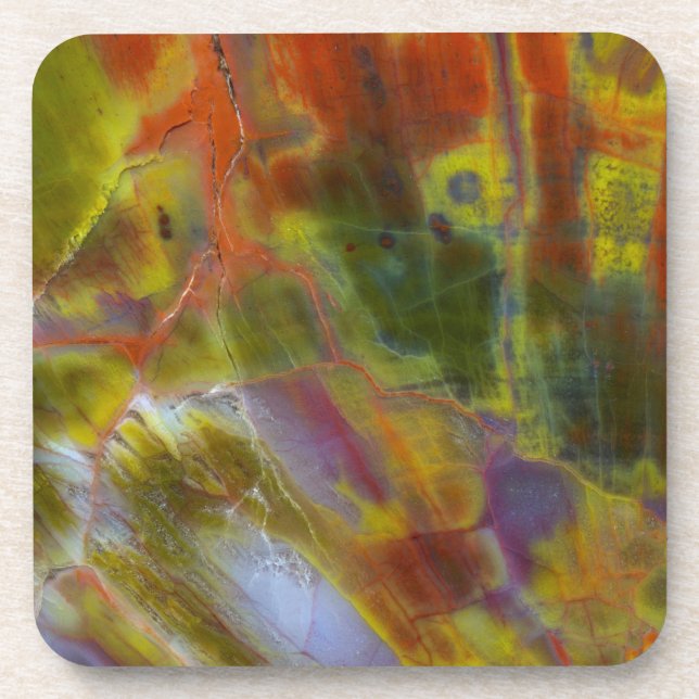 Dessous-de-verre Bois pétrifié arc-en-ciel (Devant)