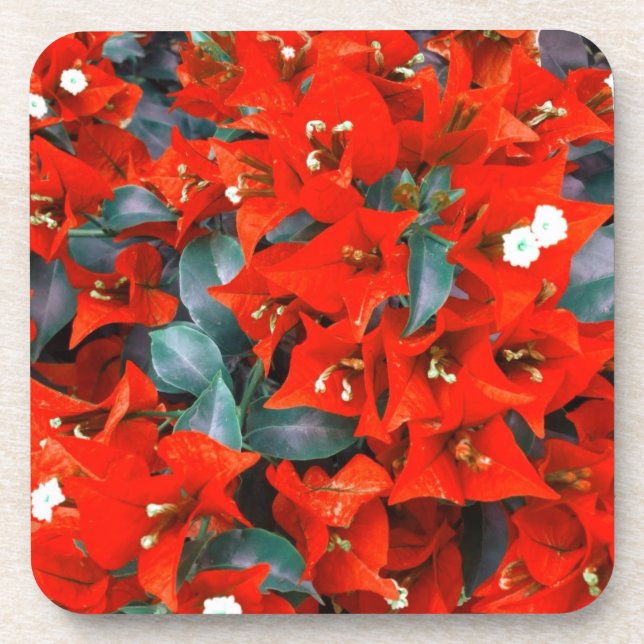 Dessous-de-verre Bougainvilliers rouges vibrants (Devant)