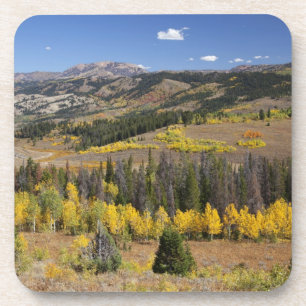 Dessous-de-verre Bridger-Teton National Forest