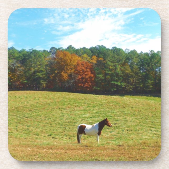 Dessous-de-verre Brown & cheval blanc, arbres d'automne, ciel bleu (Devant)