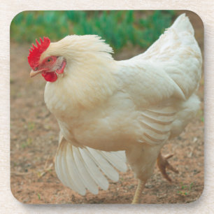 Dessous-de-verre Brown d'argenterie Hen Hy Line de poulet funky