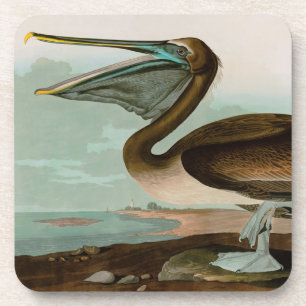 Dessous-de-verre Brown Pelican Birds of America Audubon
