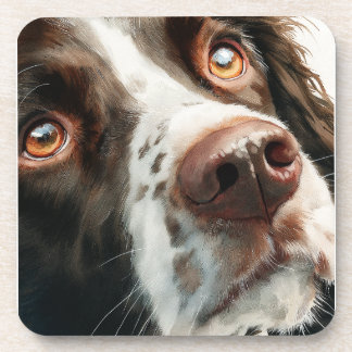 Dessous-de-verre Brown springer spaniel portrait