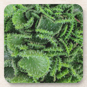 Dessous-de-verre Cactus