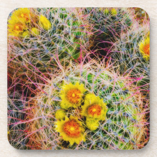 Dessous-de-verre Cactus tonneau en gros plan, Californie
