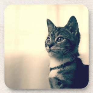 Dessous-de-verre Cadeaux d'amoureux des chats, cadeaux orientés de