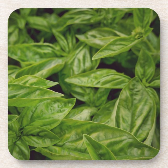 Dessous-de-verre Cahier Basil (Devant)