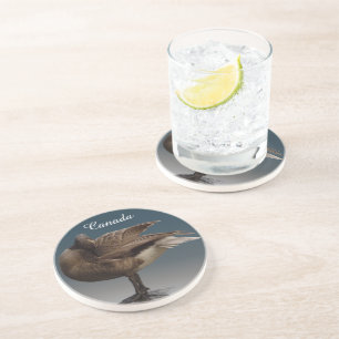 Dessous de verre canadien de l'oie Dessous de verr