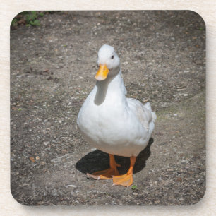 Dessous-de-verre Canard d'appel