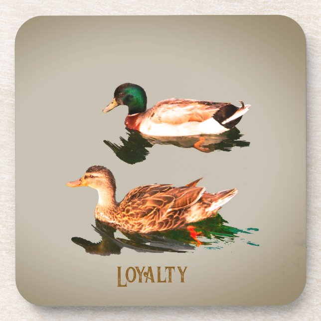 Dessous-de-verre Canards colverts. Loyauté (Devant)
