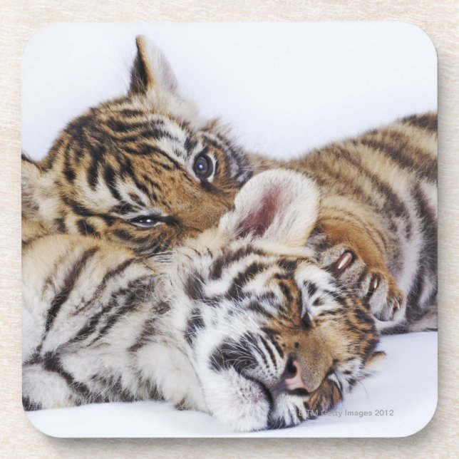 Dessous-de-verre Captif, Afrique du Sud 4 (Devant)