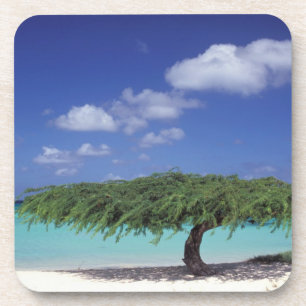 Dessous-de-verre Caraïbes, Aruba. Plage d'Eagle