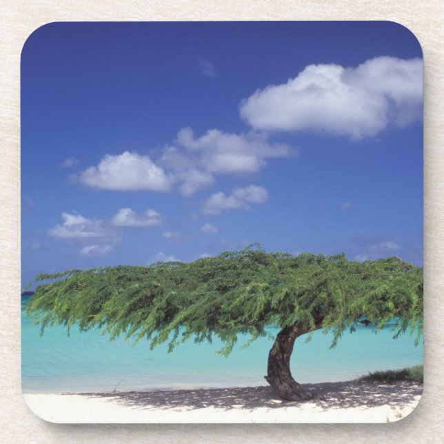 Dessous-de-verre Caraïbes, Aruba. Plage d'Eagle (Devant)