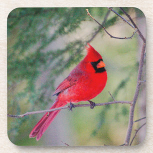 Dessous-de-verre Cardinal Crimson