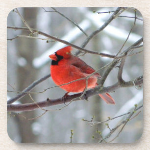 Dessous-de-verre Cardinal hivernal de Chipper