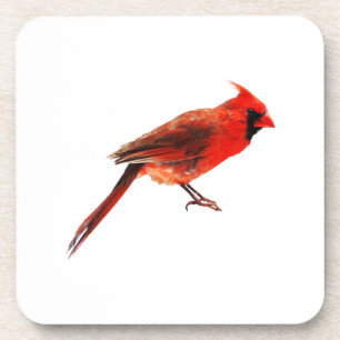 Dessous-de-verre Cardinal(s)