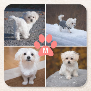 Dessous De Verre Carré 4 Pieds Rose Photo Chien Personnalisé Pour Animau
