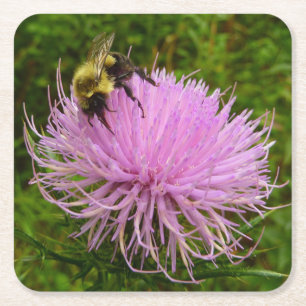 Dessous De Verre Carré Abeille sur Fleur de Chardon Nature