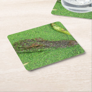 Dessous De Verre Carré Alligator