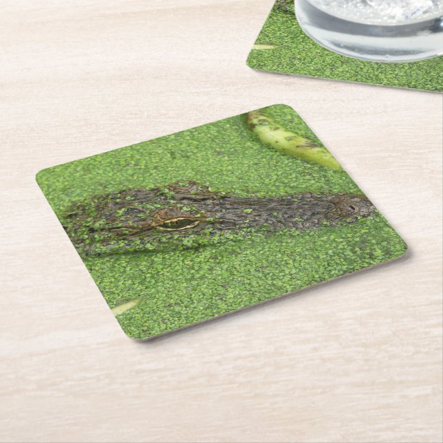 Dessous De Verre Carré Alligator (Incliné)