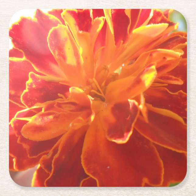 Dessous De Verre Carré Anastaise (Devant)