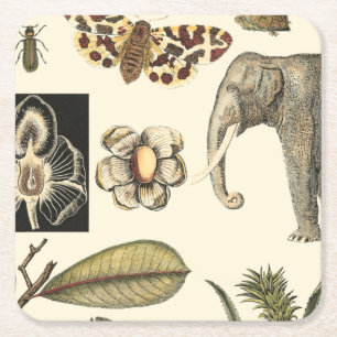 Dessous De Verre Carré Animaux assortis peints sur l'arrière - plan crème