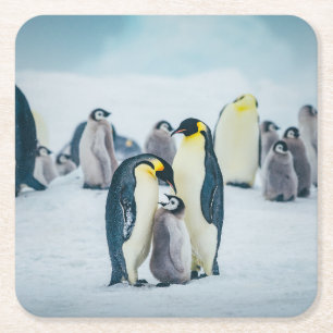 Dessous De Verre Carré Animaux de bébés cutest Alimentation de pingouin