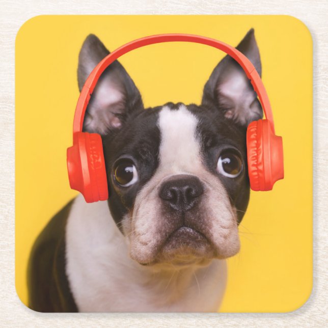 Dessous De Verre Carré Animaux de bébés cutest | Casques Terrier de Bosto (Devant)