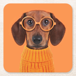Dessous De Verre Carré Animaux de bébés cutest   Chandail orange Dachshun