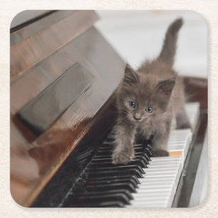 Dessous De Verre Carré Animaux de bébés cutest Kitten sur piano