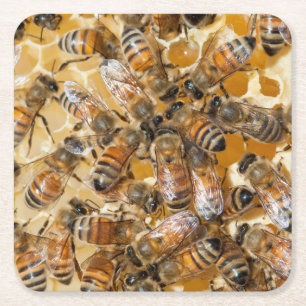 Dessous De Verre Carré Apiculture à Arlo's Honey Farm